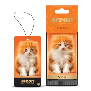 areon-wild-blue-eyes-oto-arac-kokusu-111